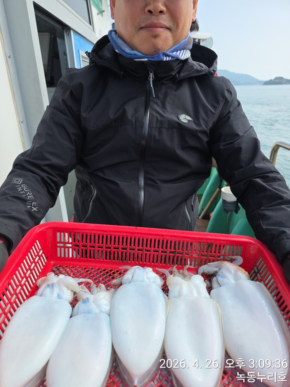 사용자가 올린 이미지