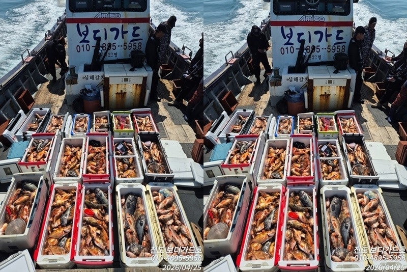 26년 4월 25일 진도 보디가드호 (왕)열기 조황