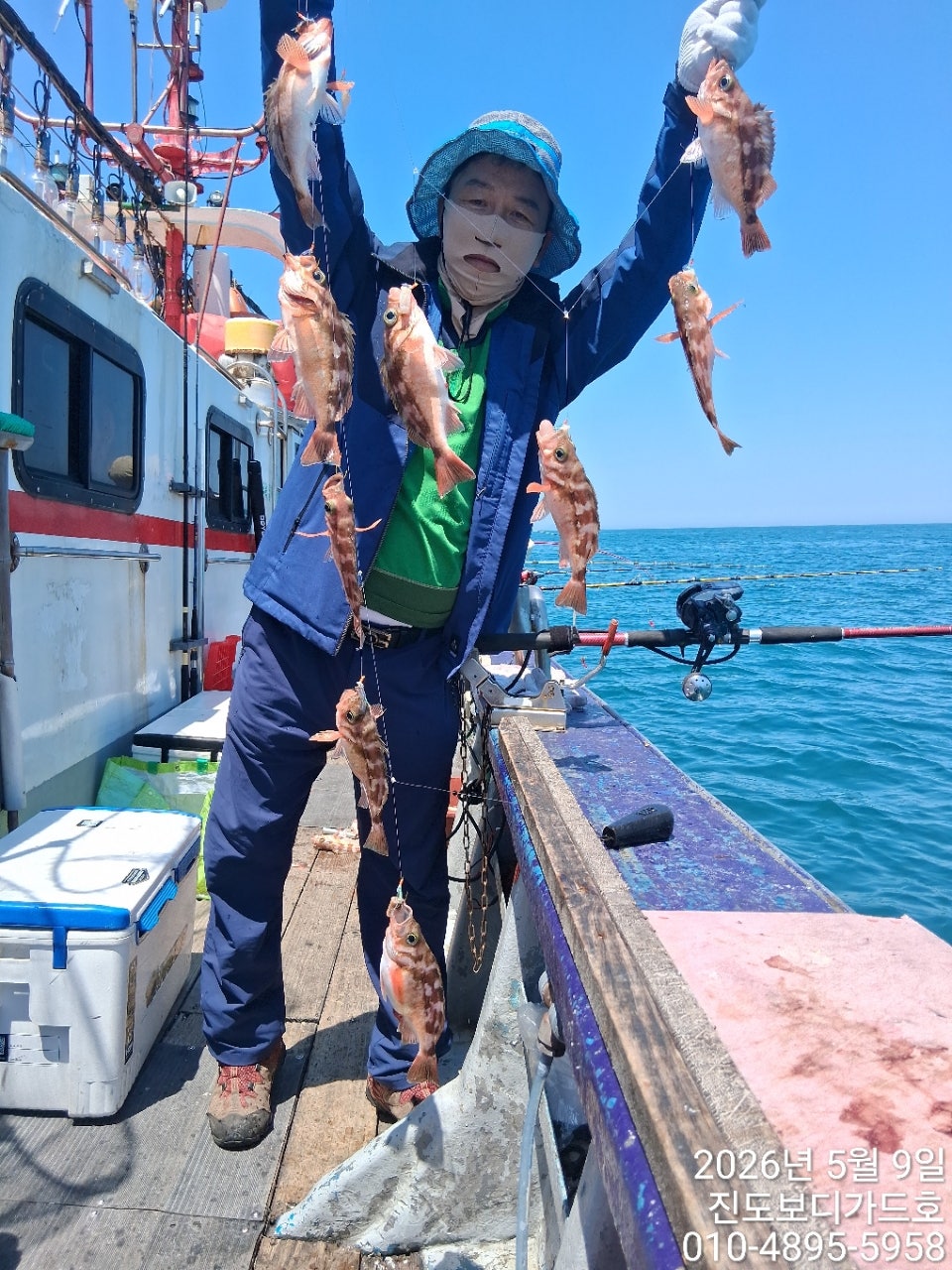 사용자가 올린 이미지