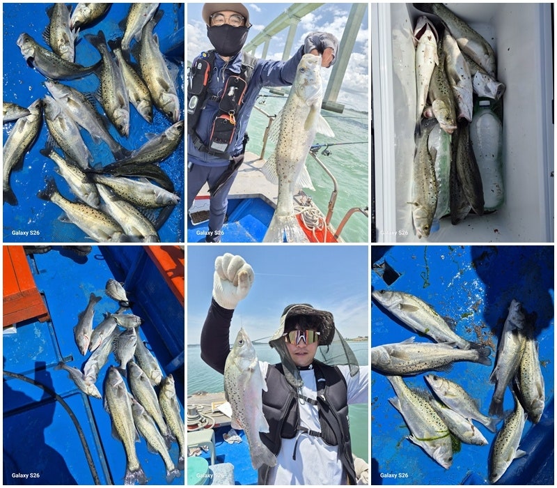 26년 5월 20일 목포목화피싱 (왕)농어 조황