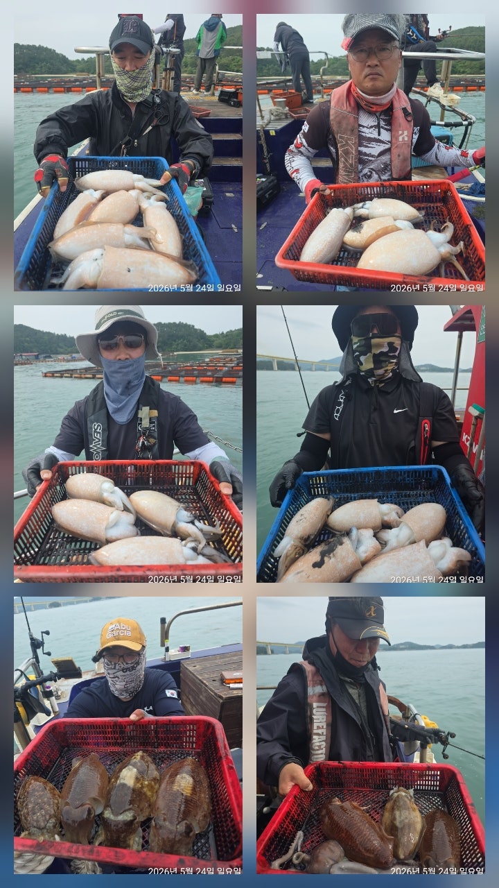 26년 5월 24일 고흥 녹동 빅원호 (왕)갑오징어 조황