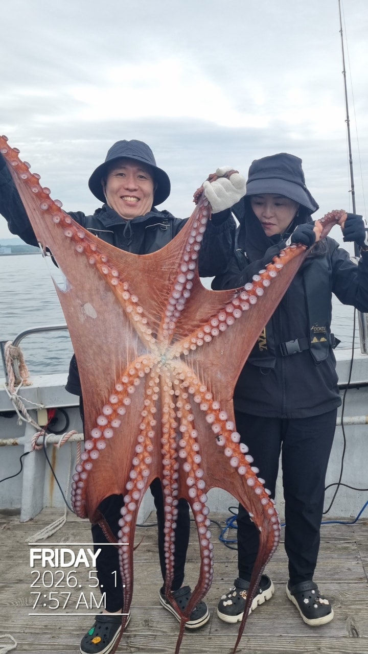26년 5월 1일 공현진항 돌핀호 대(왕)문어 조황