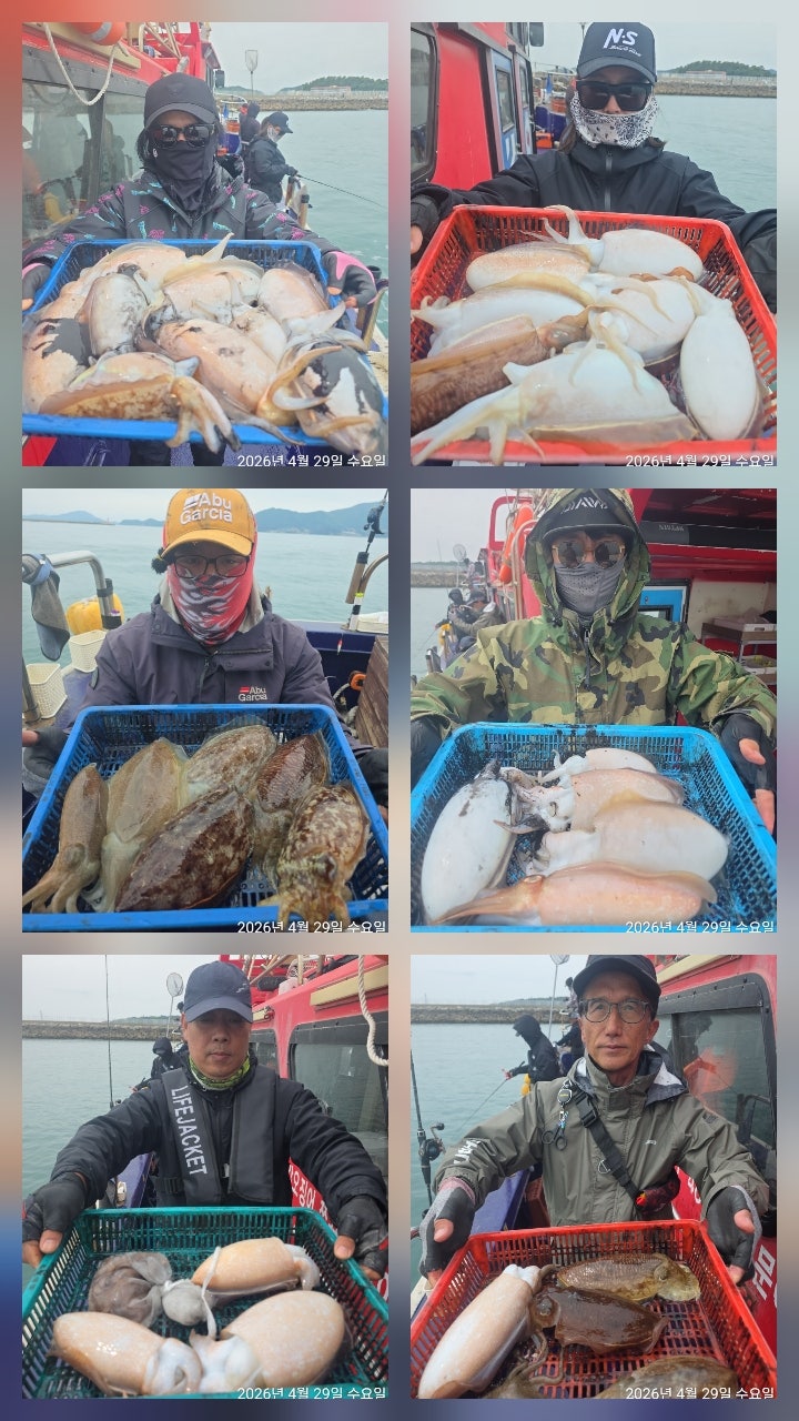 26년 4월 29일 고흥 녹동 빅원호 (왕)갑오징어 조황