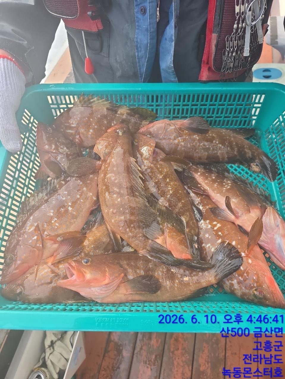 사용자가 올린 이미지