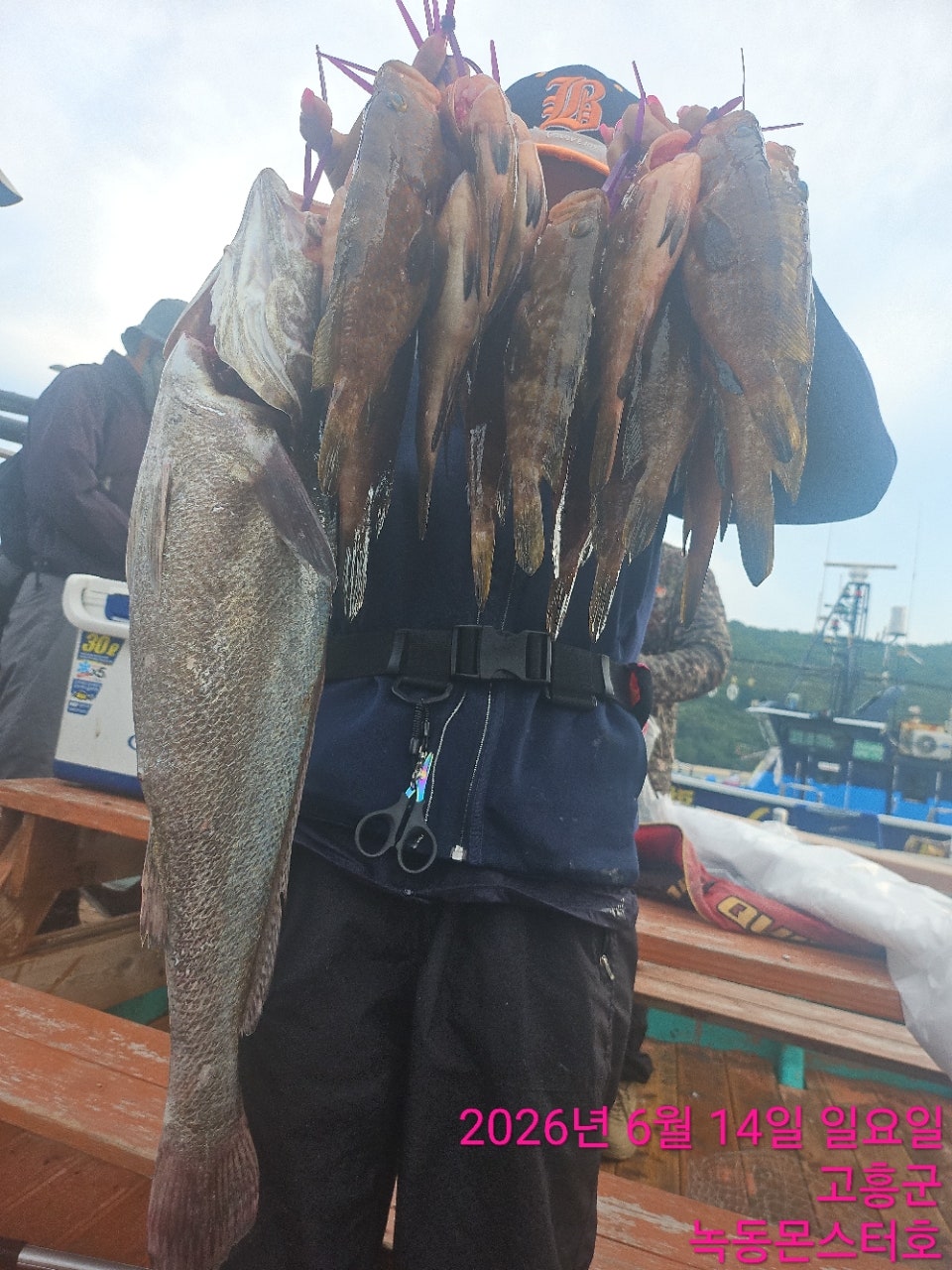 사용자가 올린 이미지