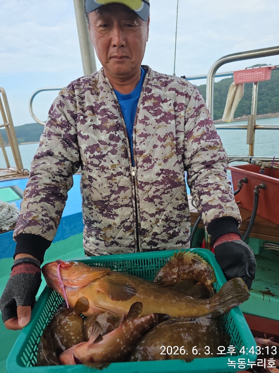 사용자가 올린 이미지