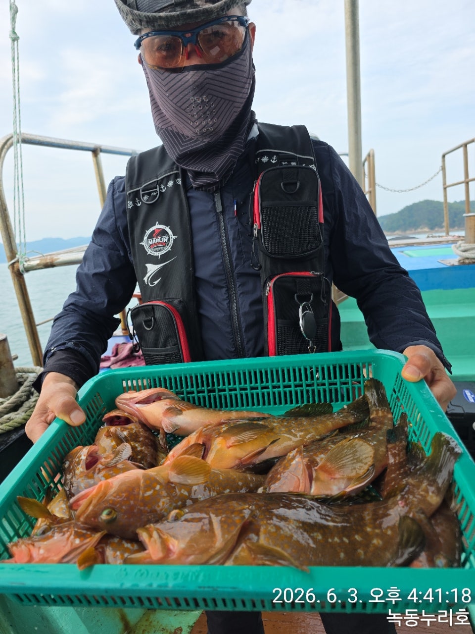 사용자가 올린 이미지