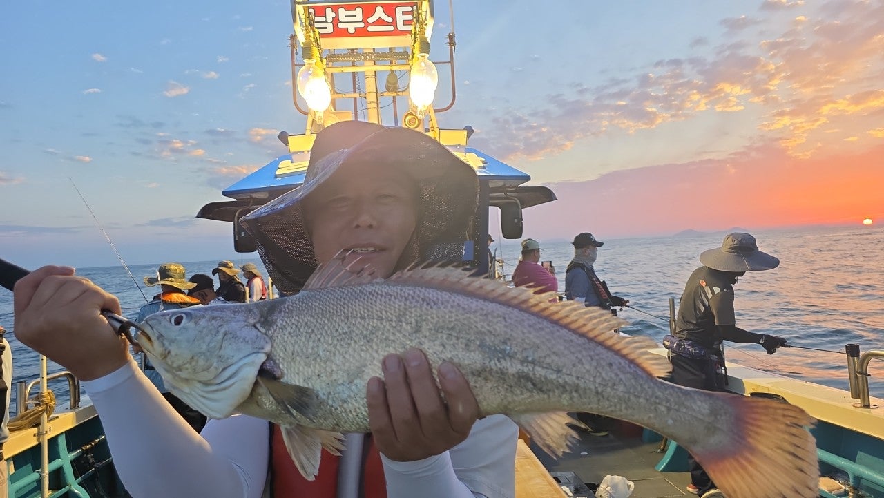 26년 7월 25일 격포 남부스타호 대(왕)민어 등 외수질 조황