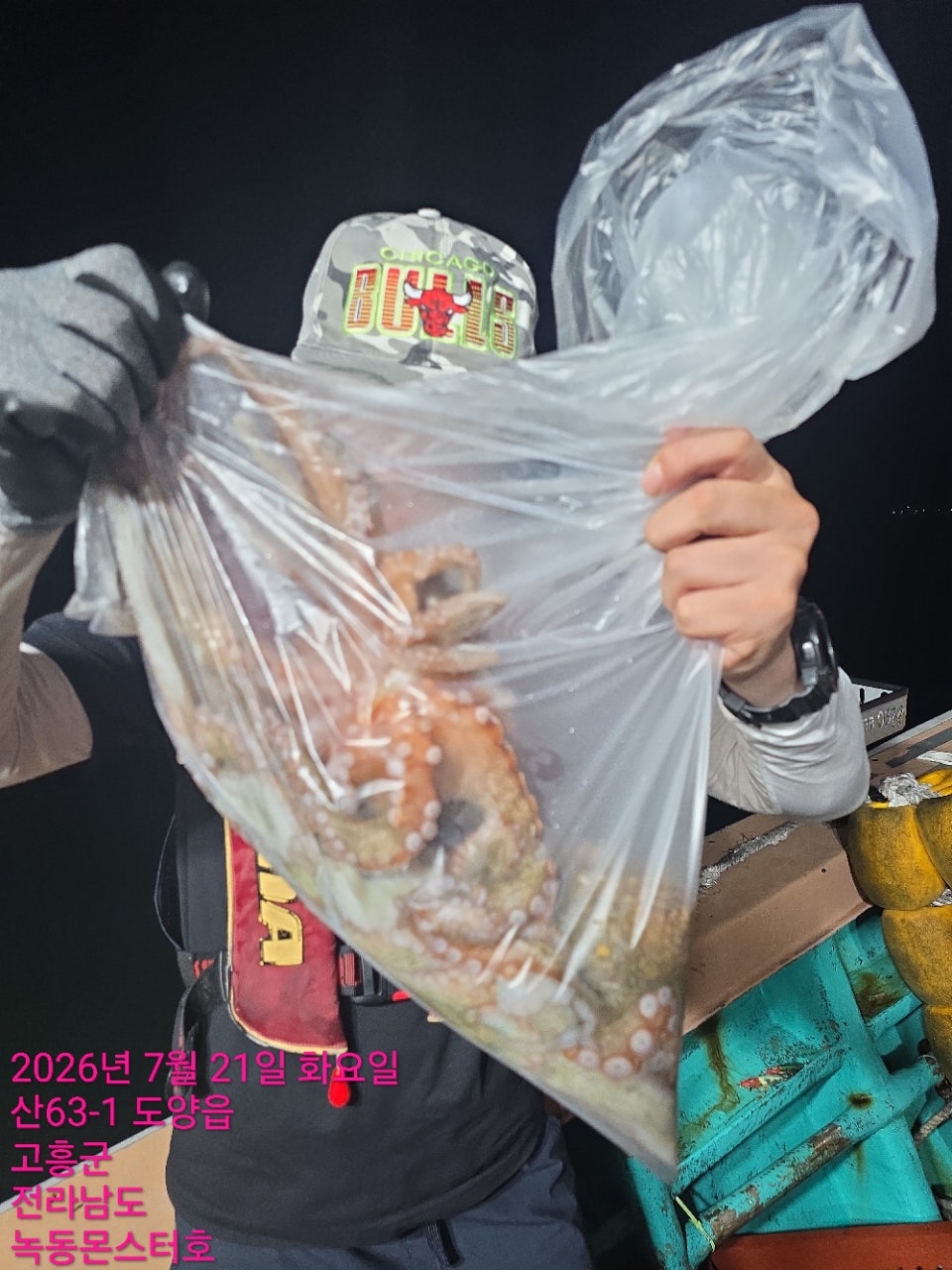 사용자가 올린 이미지