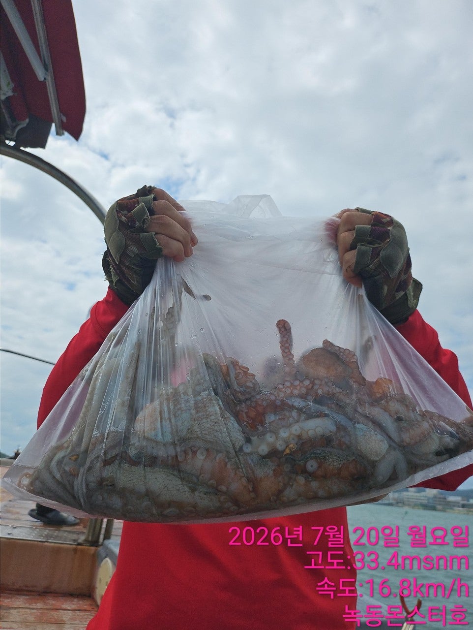 사용자가 올린 이미지
