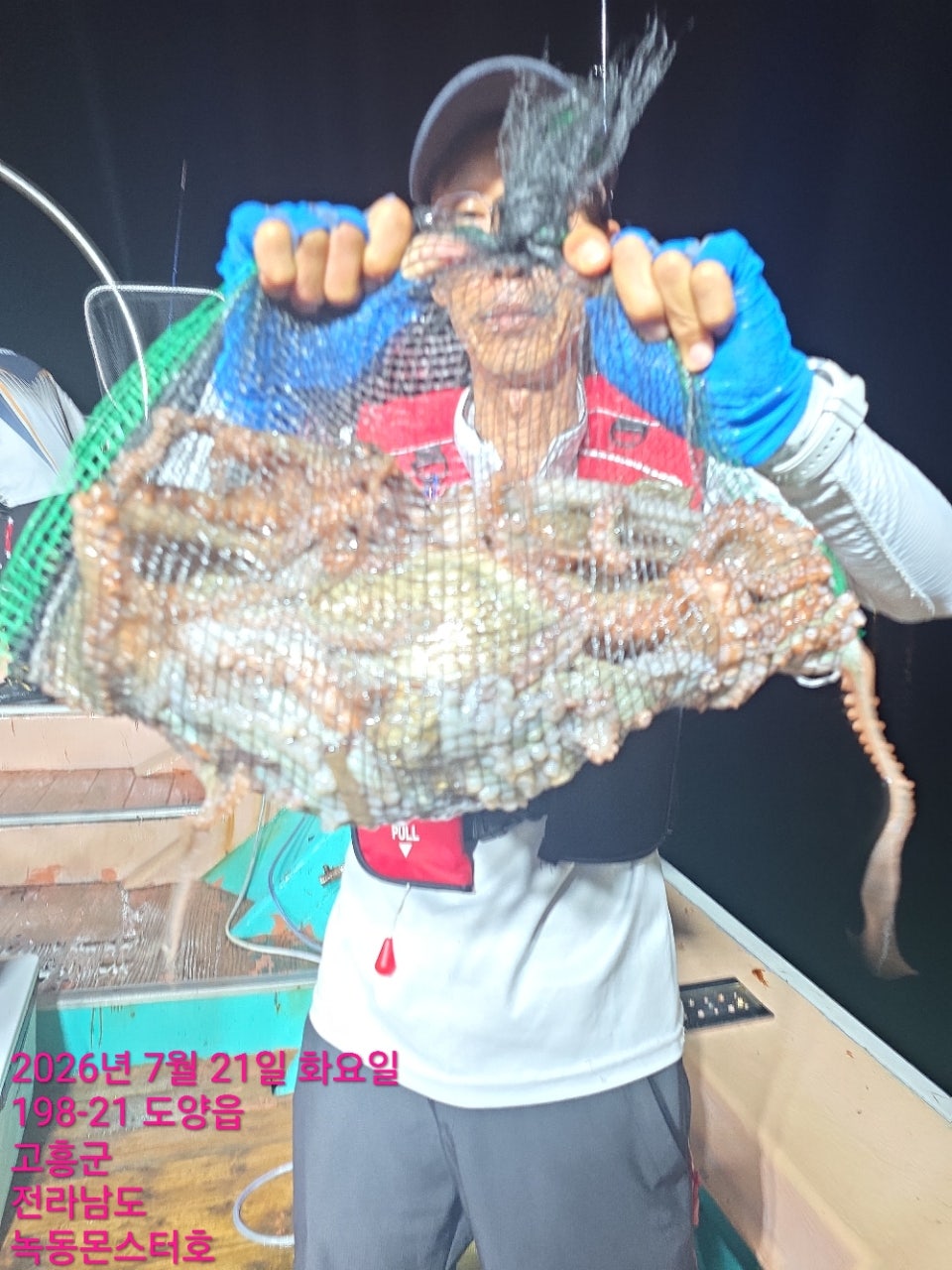 사용자가 올린 이미지