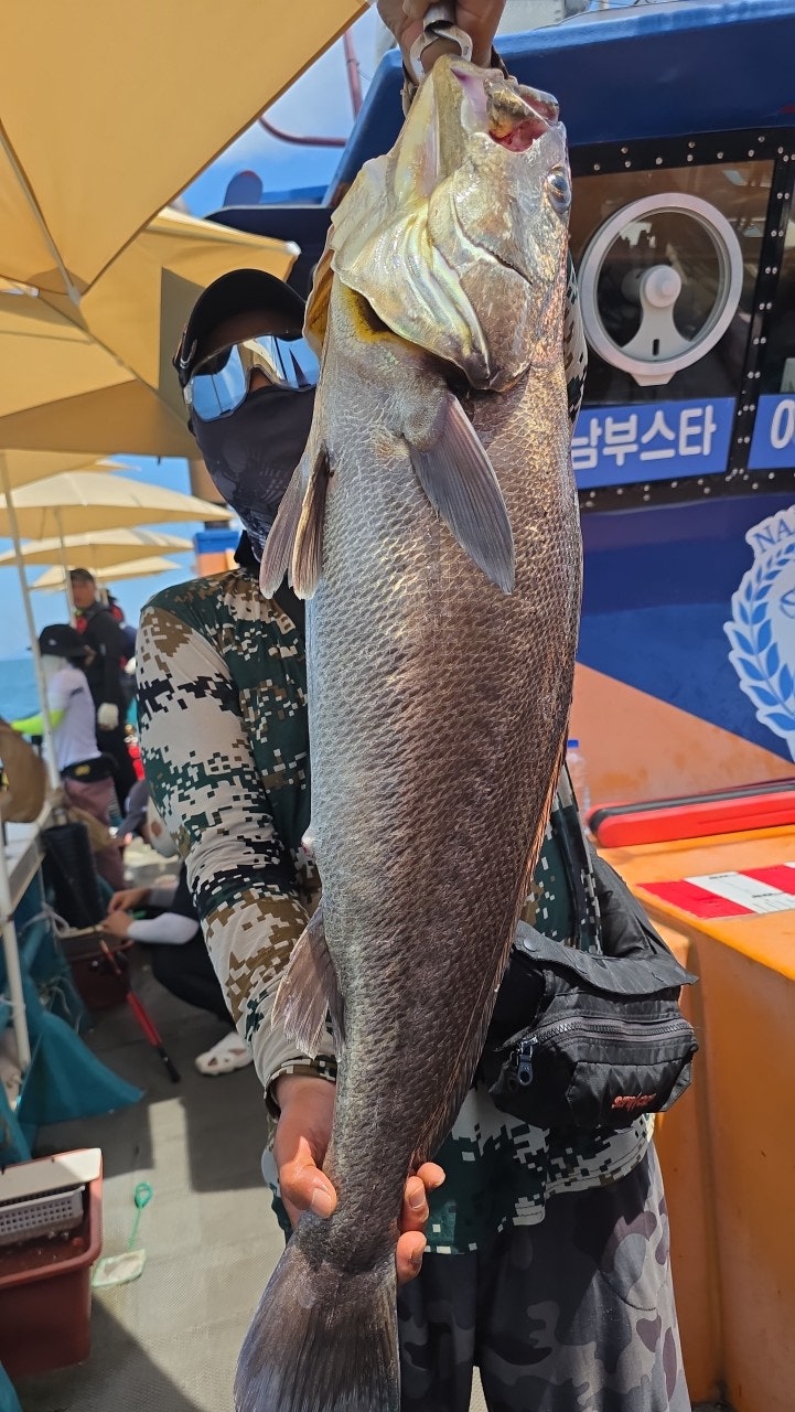 26년 8월 7일 격포 남부낚시 (왕)민어 등 외수질 조황
