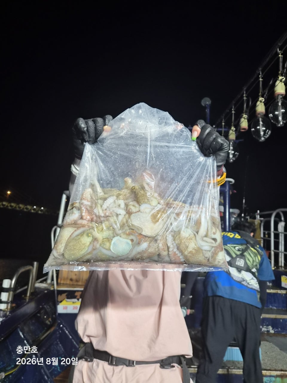 사용자가 올린 이미지