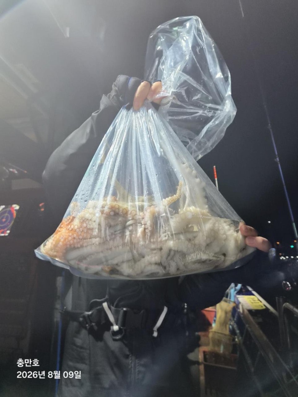 26년 8월 8일 고흥 녹동 팀보스선단 (왕)돌문어 조황