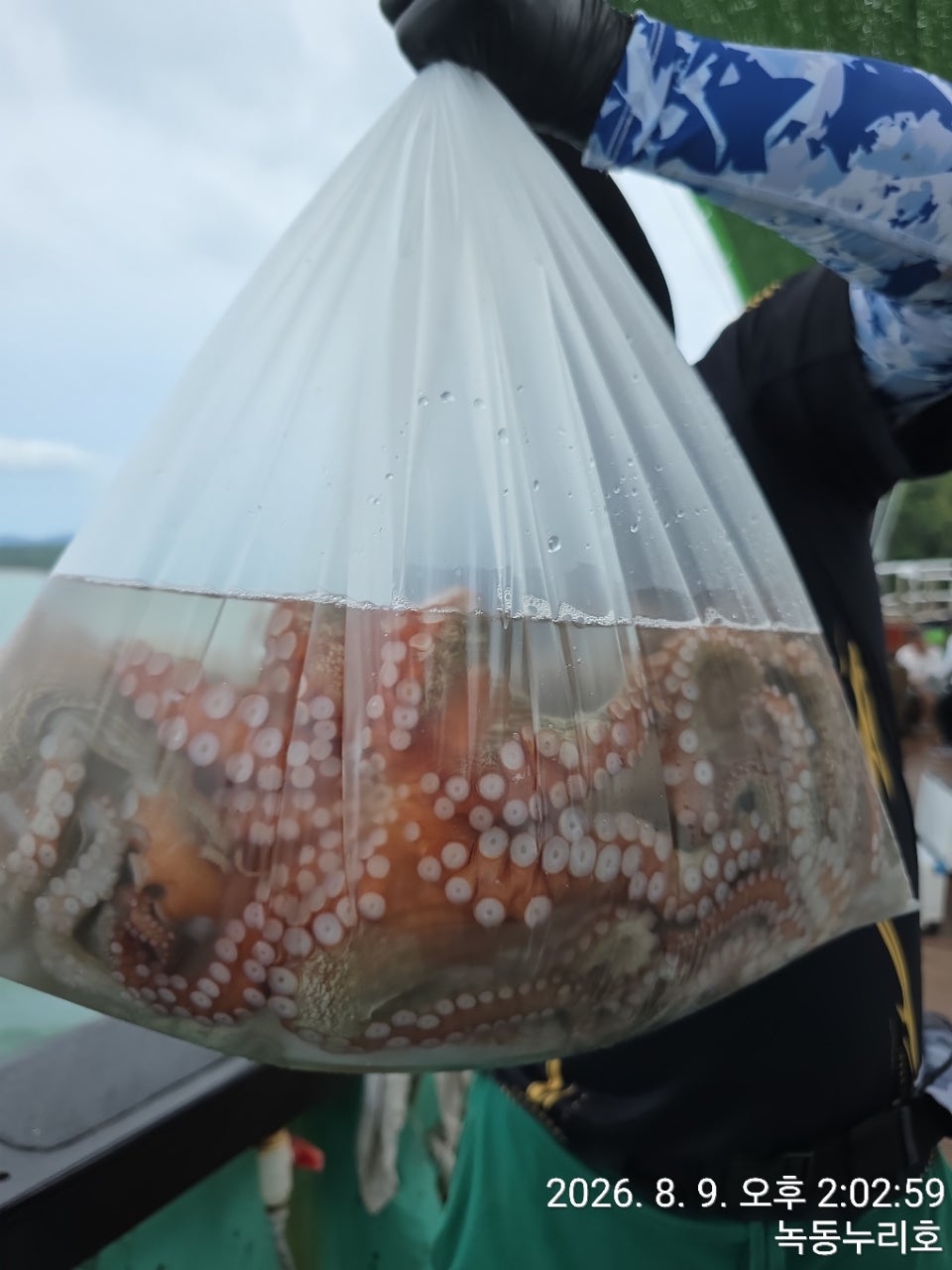 사용자가 올린 이미지