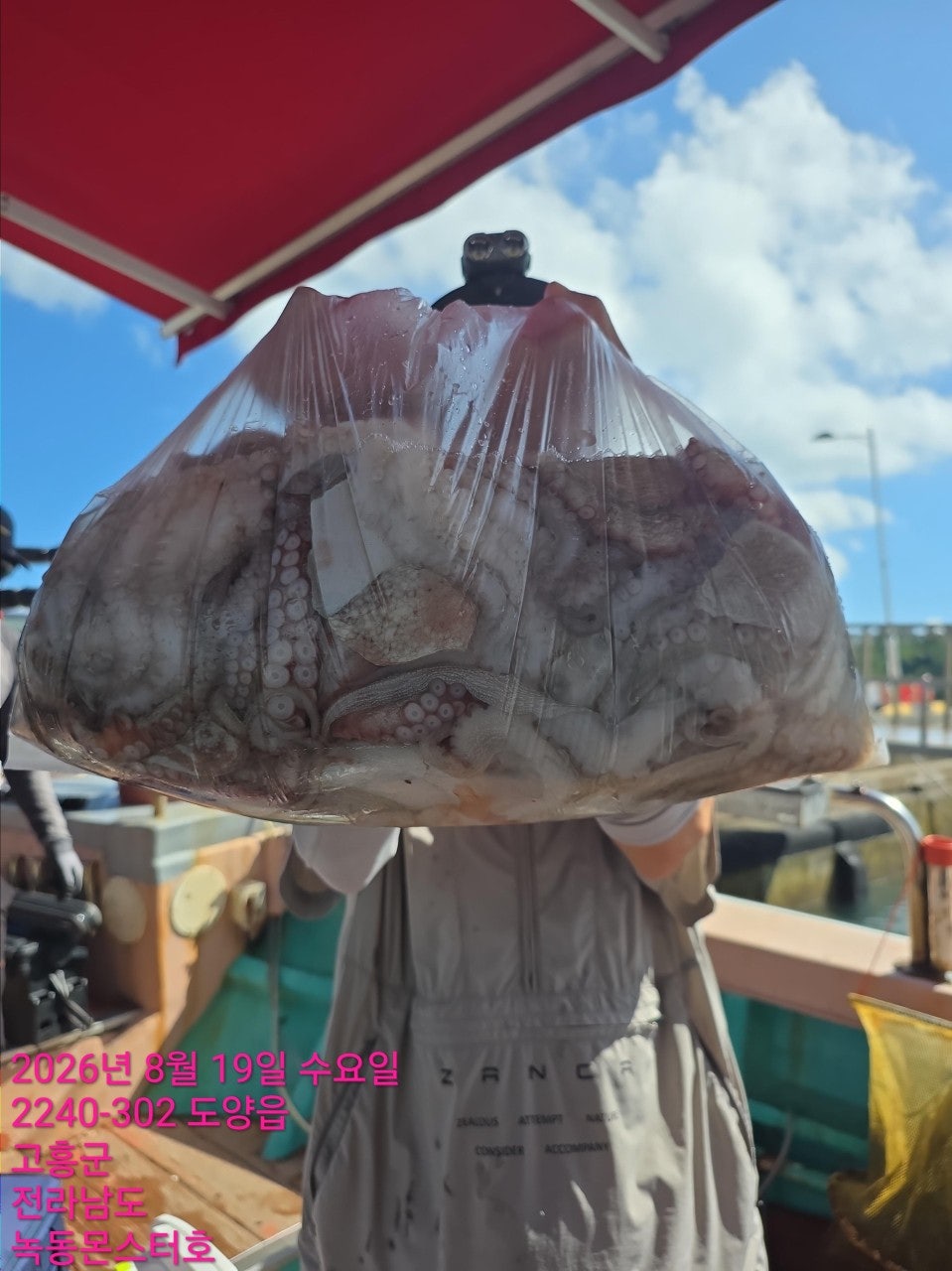 26년 8월 19일 고흥 녹동 몬스터호 대(왕)문어 조황