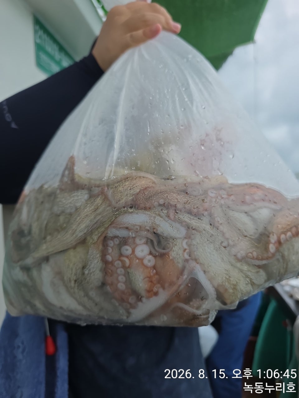 사용자가 올린 이미지