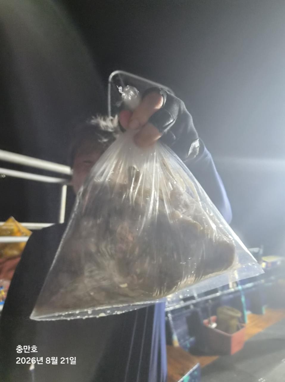 사용자가 올린 이미지