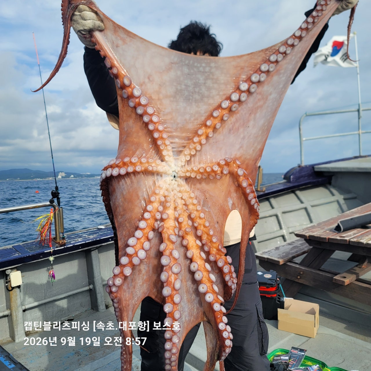 26년 9월 19일 속초 대포항 캡틴블리츠피싱 보스호 대(왕)문어 조황
