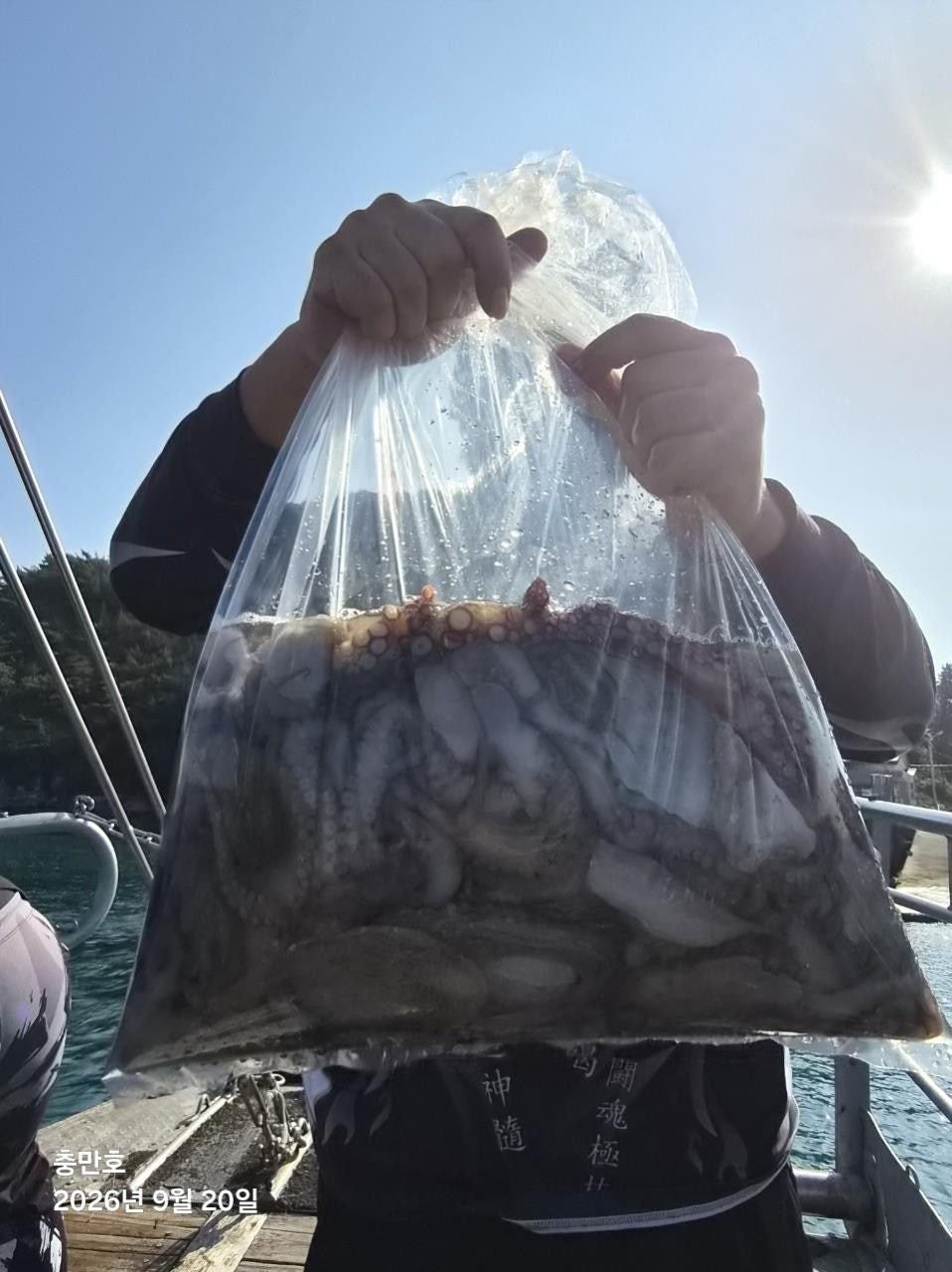 26년 9월 20일 고흥 녹동 팀보스선단 (왕)돌문어 조황