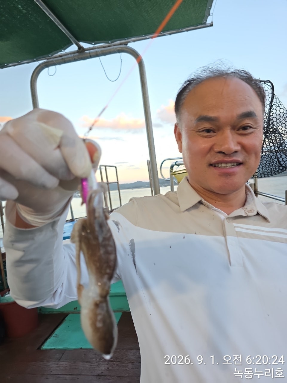 사용자가 올린 이미지