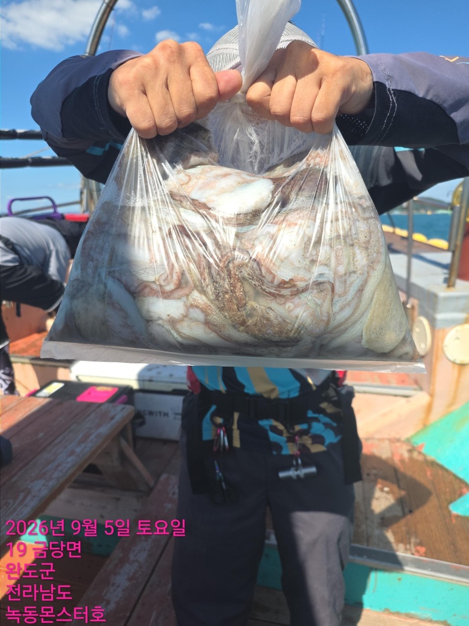 사용자가 올린 이미지