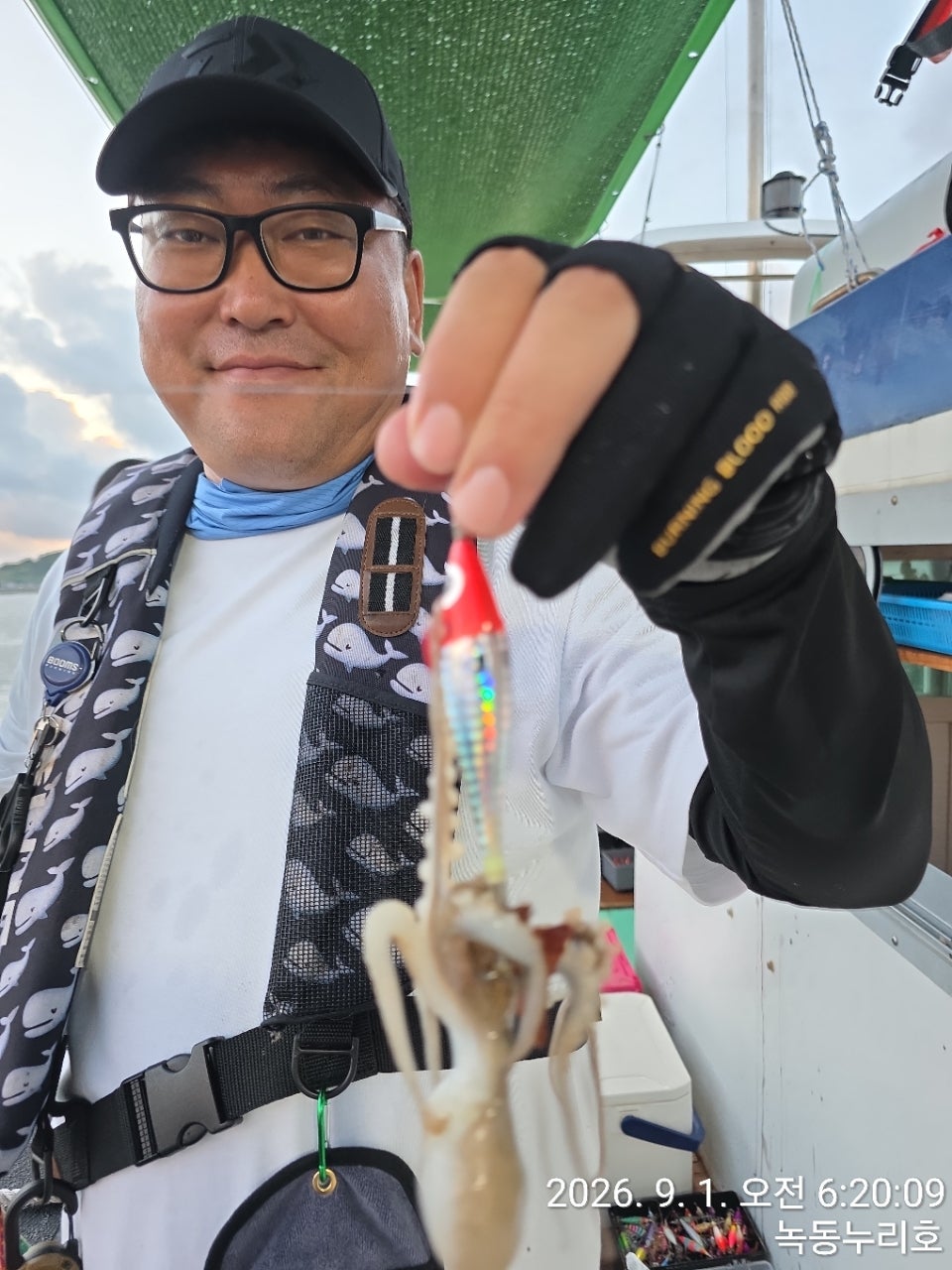 사용자가 올린 이미지