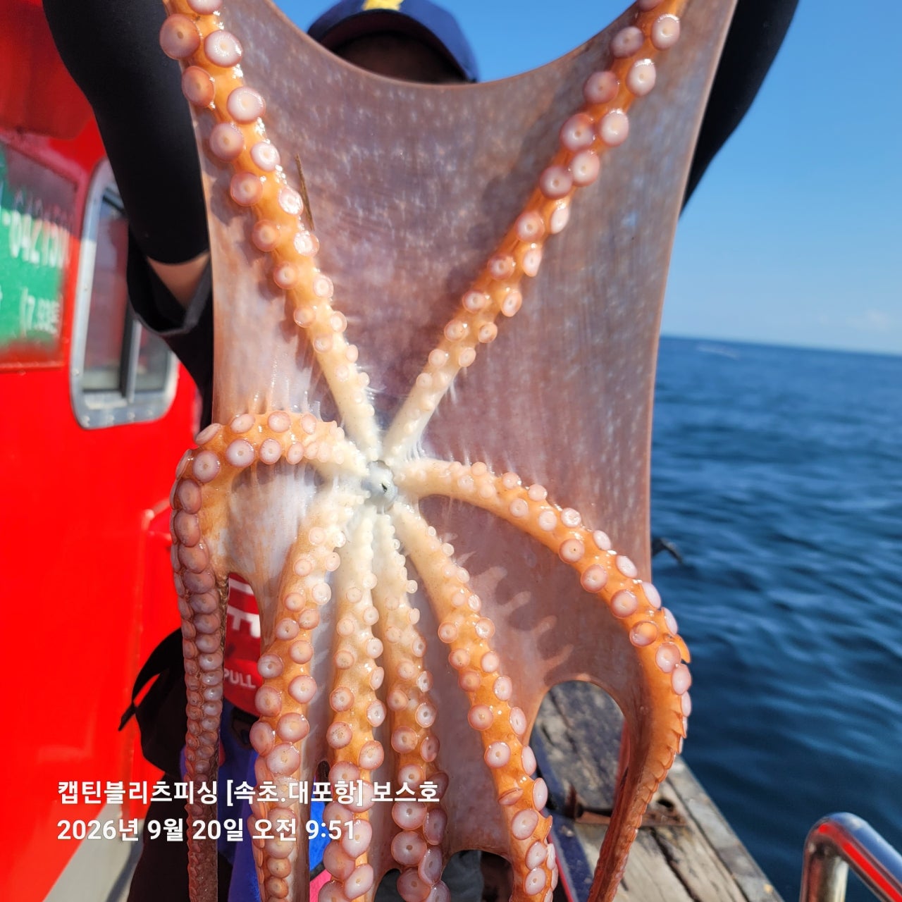 26년 9월 20일 속초 대포항 캡틴블리츠피싱 보스호 대(왕)문어 조황