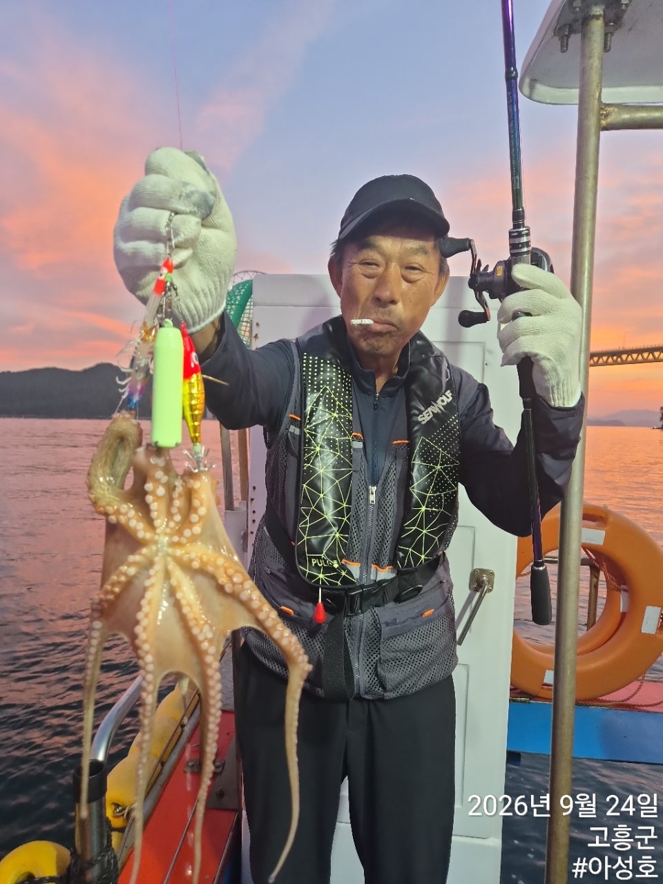 사용자가 올린 이미지