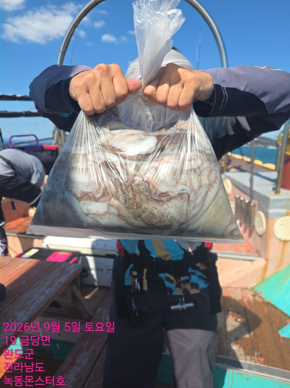 사용자가 올린 이미지