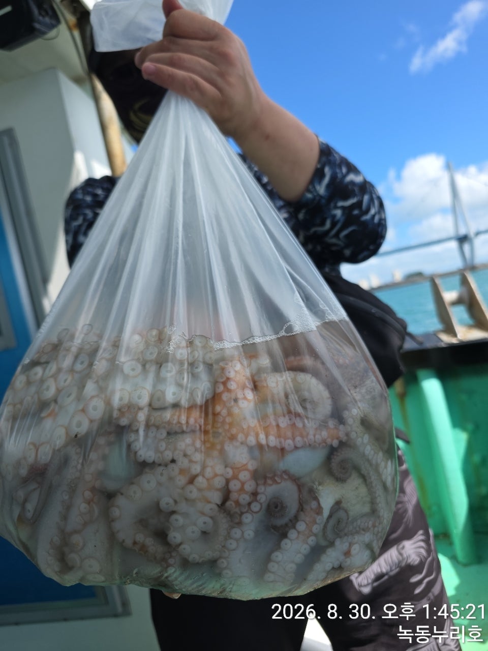 사용자가 올린 이미지