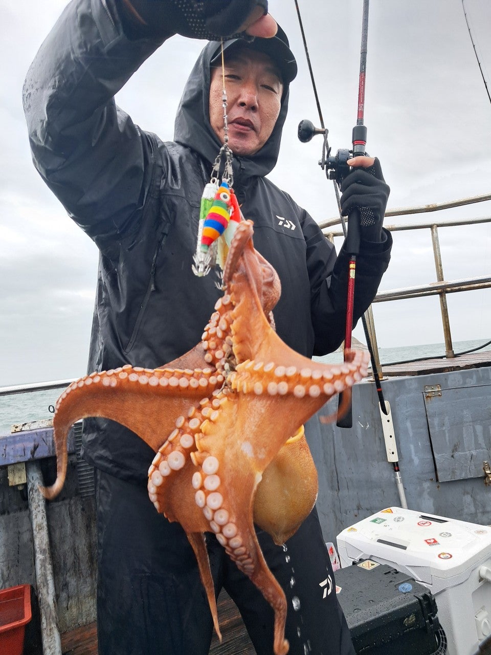 사용자가 올린 이미지