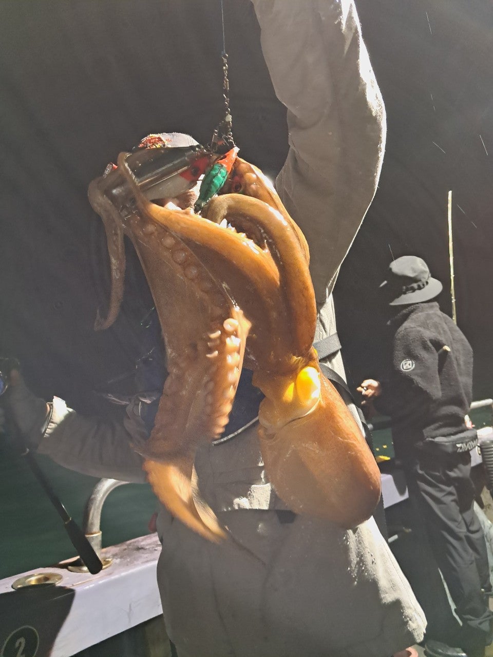 사용자가 올린 이미지