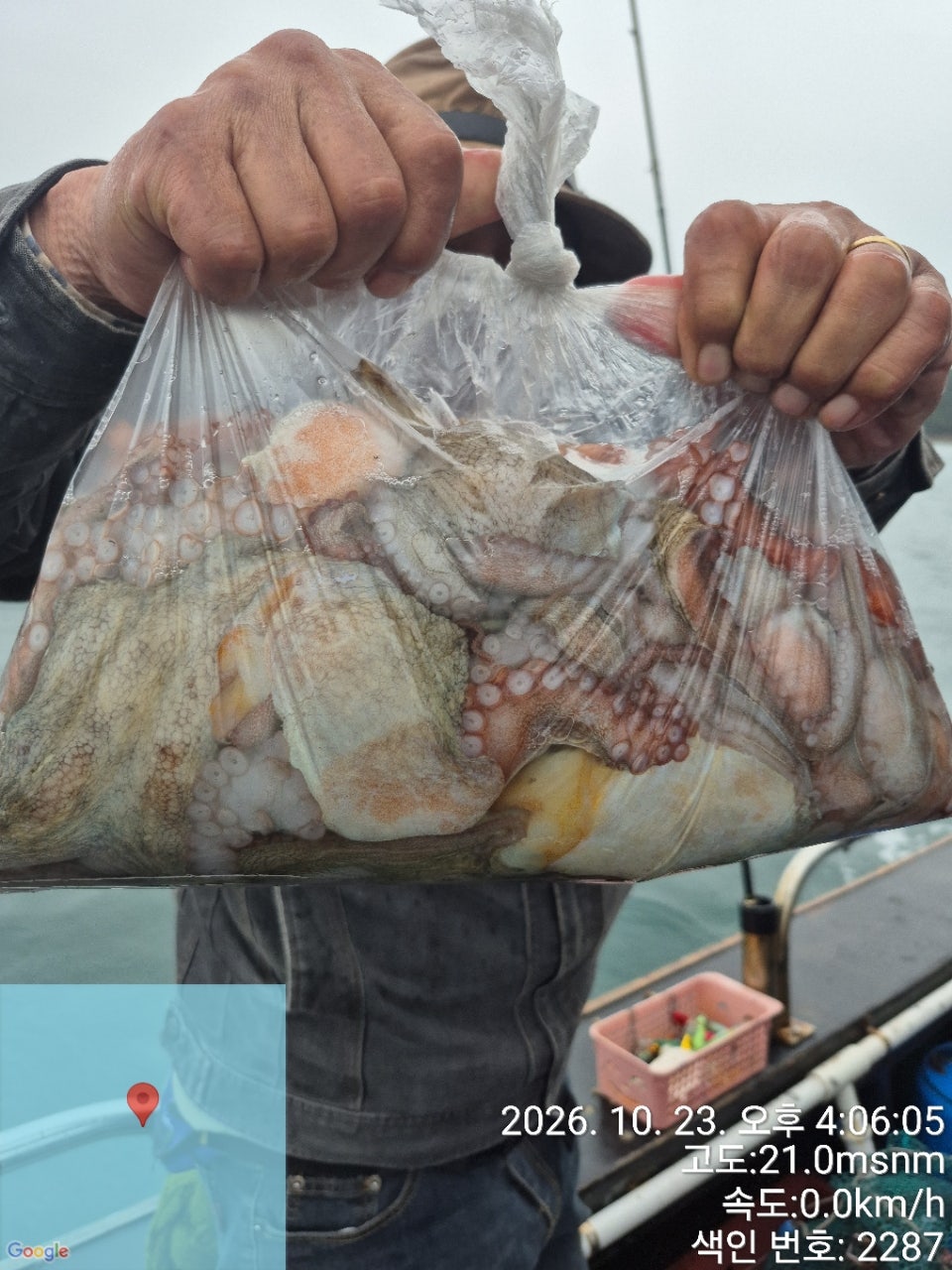 26년 10월 23일 고흥 녹동 병풍호 (왕)돌문어 조황
