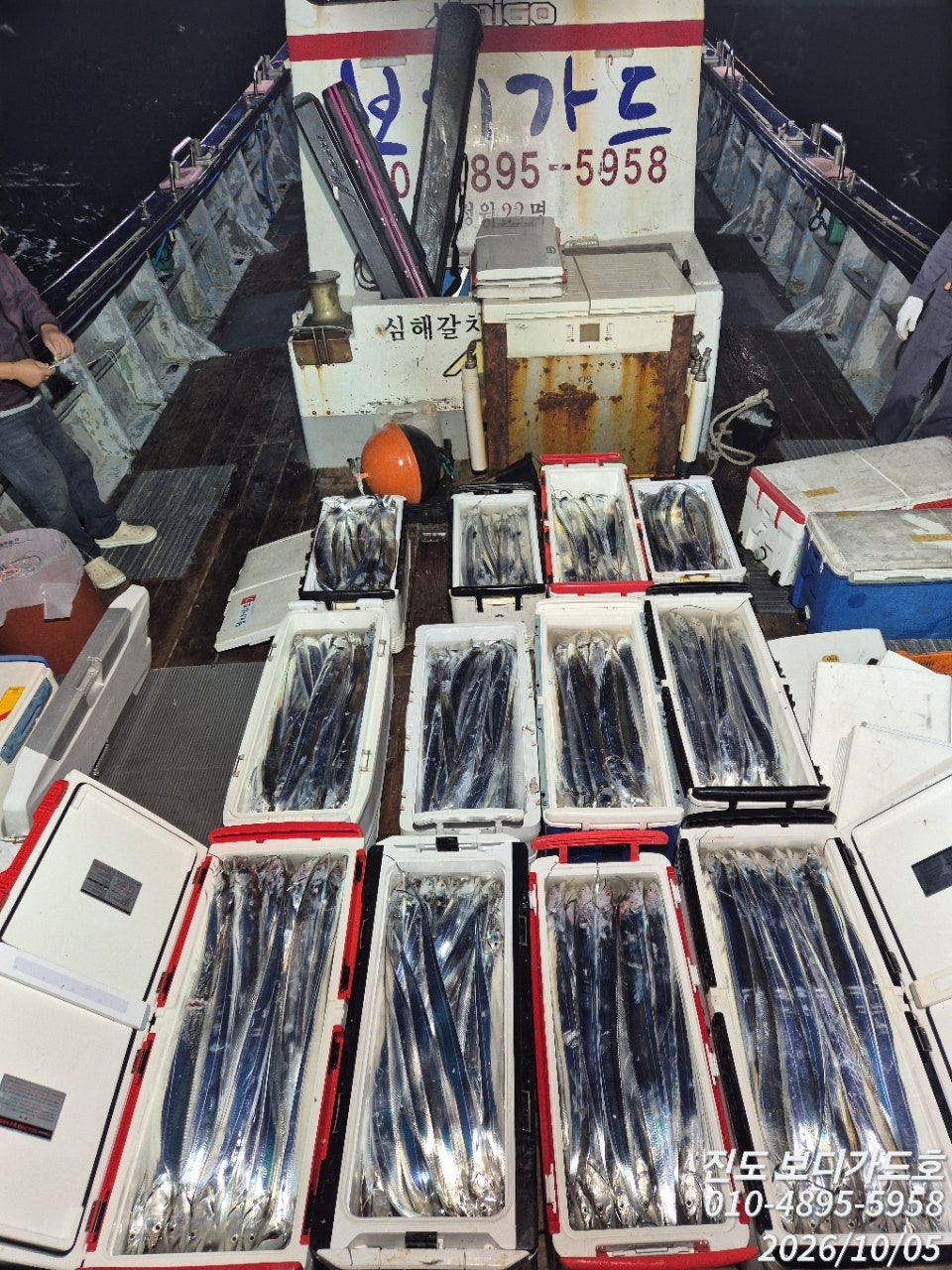 26년 10월 5일 진도 보디가드호 (왕)갈치 조황