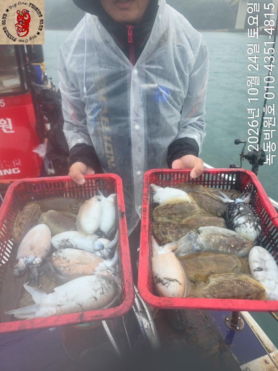 26년 10월 24일 고흥 녹동 빅원호 (왕)갑오징어 조황