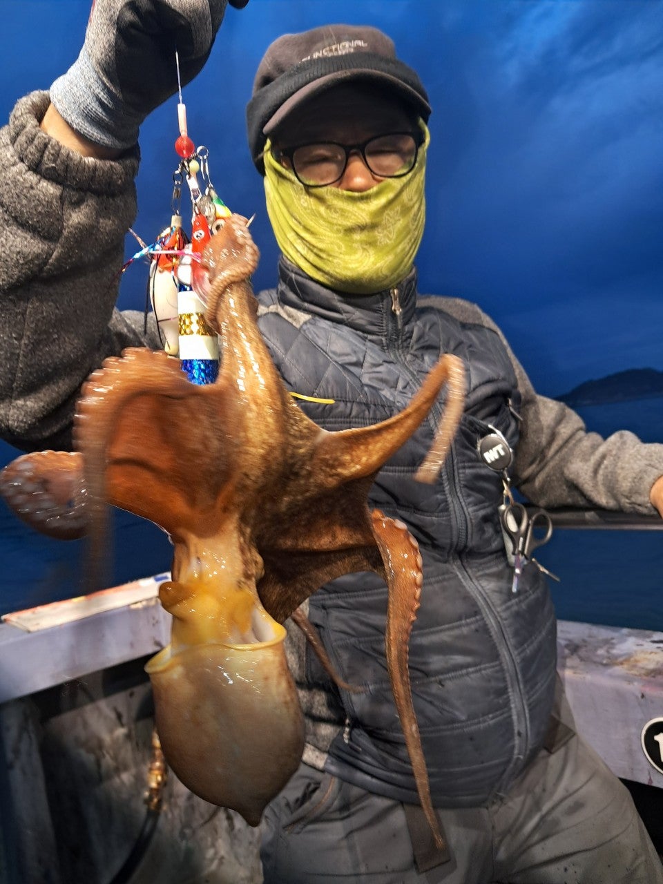 사용자가 올린 이미지
