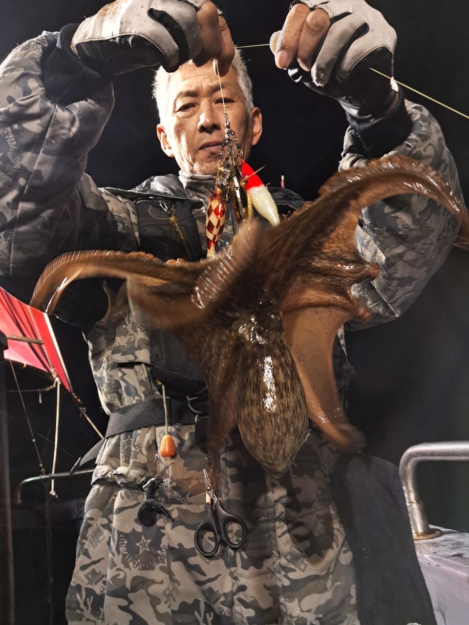 사용자가 올린 이미지